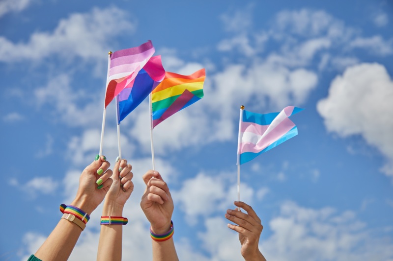 Hands holding pride flags in the air
